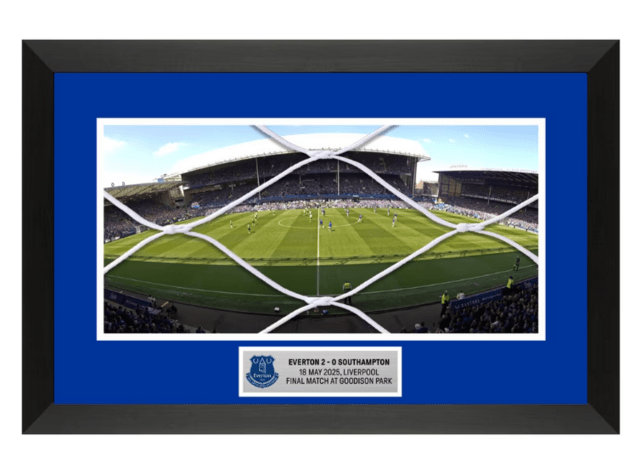  Everton Goodison Park Double Mount Goal Net - 325 x 200mm