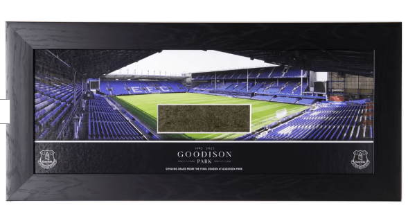 Everton Goodison Park Framed Grass - 20inch Panoramic