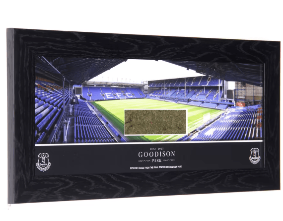 Everton Goodison Park Framed Grass - 20inch Panoramic Thumbnail