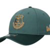 Everton New Era Third Kit 9FORTY - Green - Unisex Thumbnail