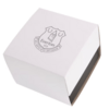 Everton Silver Case - Blue Leather Strap Watch Thumbnail
